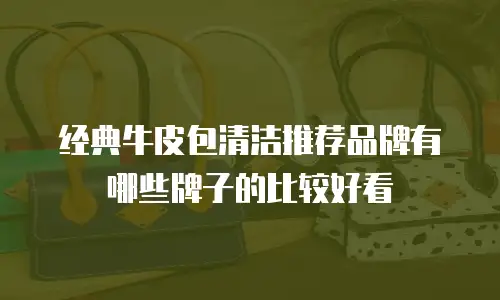 经典牛皮包清洁推荐品牌有哪些牌子的比较好看