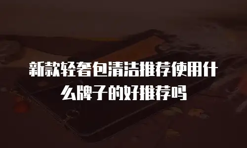 新款轻奢包清洁推荐使用什么牌子的好推荐吗