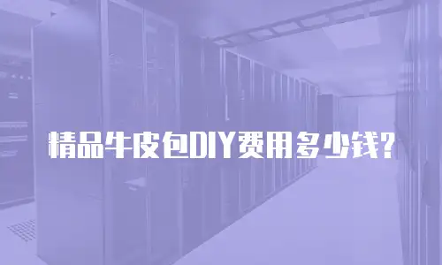 精品牛皮包DIY费用多少钱？