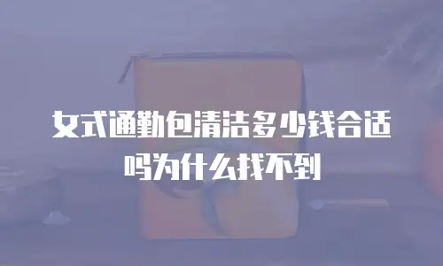 女式通勤包清洁多少钱合适吗为什么找不到