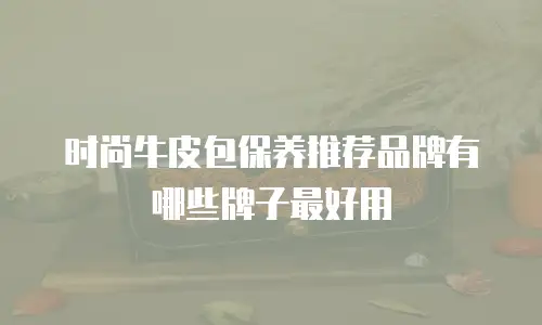 时尚牛皮包保养推荐品牌有哪些牌子最好用