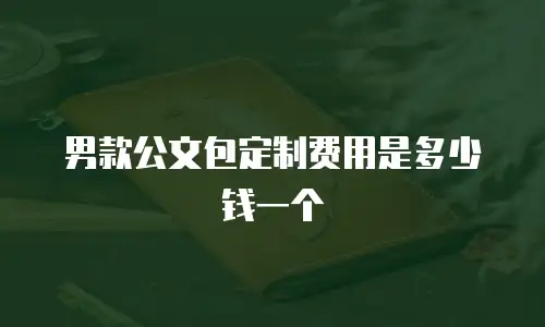 男款公文包定制费用是多少钱一个