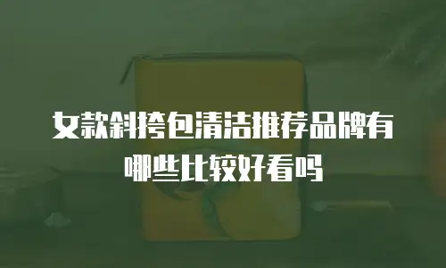女款斜挎包清洁推荐品牌有哪些比较好看吗