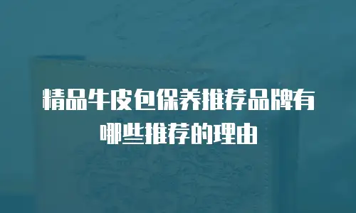 精品牛皮包保养推荐品牌有哪些推荐的理由