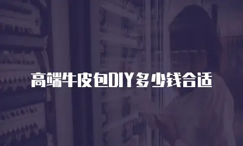 高端牛皮包DIY多少钱合适