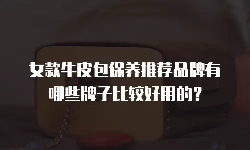 女款牛皮包保养推荐品牌有哪些牌子比较好用的？