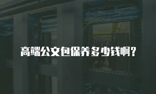 高端公文包保养多少钱啊？