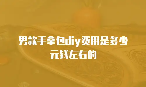 男款手拿包diy费用是多少元钱左右的