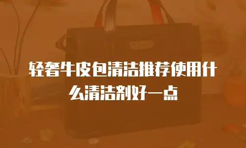 轻奢牛皮包清洁推荐使用什么清洁剂好一点