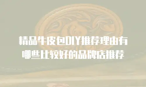 精品牛皮包DIY推荐理由有哪些比较好的品牌店推荐