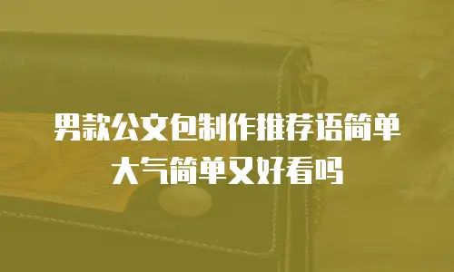 男款公文包制作推荐语简单大气简单又好看吗