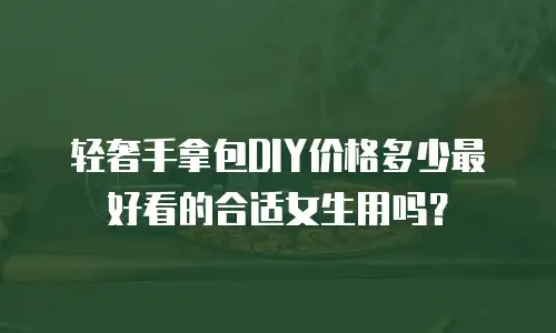 轻奢手拿包DIY价格多少最好看的合适女生用吗？
