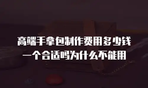 高端手拿包制作费用多少钱一个合适吗为什么不能用