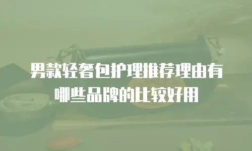 男款轻奢包护理推荐理由有哪些品牌的比较好用
