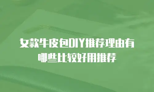 女款牛皮包DIY推荐理由有哪些比较好用推荐
