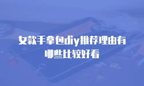 女款手拿包diy推荐理由有哪些比较好看