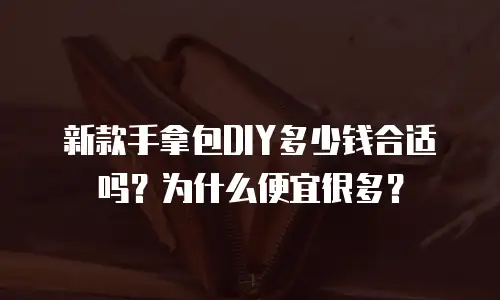新款手拿包DIY多少钱合适吗？为什么便宜很多？