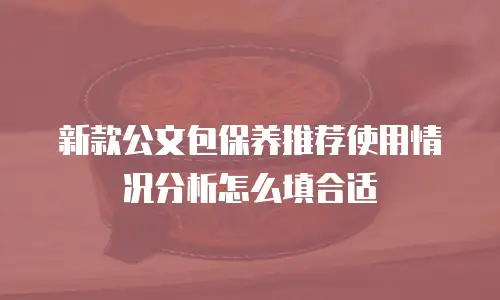 新款公文包保养推荐使用情况分析怎么填合适