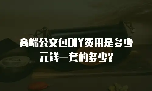 高端公文包DIY费用是多少元钱一套的多少？