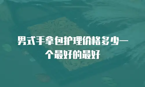男式手拿包护理价格多少一个最好的最好
