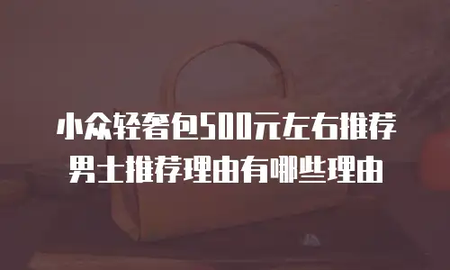 小众轻奢包500元左右推荐男士推荐理由有哪些理由