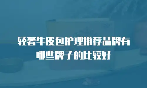 轻奢牛皮包护理推荐品牌有哪些牌子的比较好