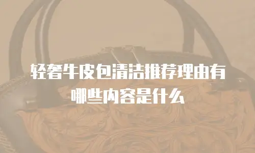 轻奢牛皮包清洁推荐理由有哪些内容是什么