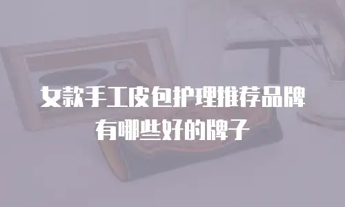 女款手工皮包护理推荐品牌有哪些好的牌子