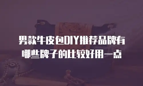 男款牛皮包DIY推荐品牌有哪些牌子的比较好用一点