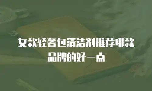 女款轻奢包清洁剂推荐哪款品牌的好一点