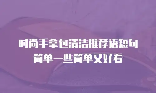 时尚手拿包清洁推荐语短句简单一些简单又好看