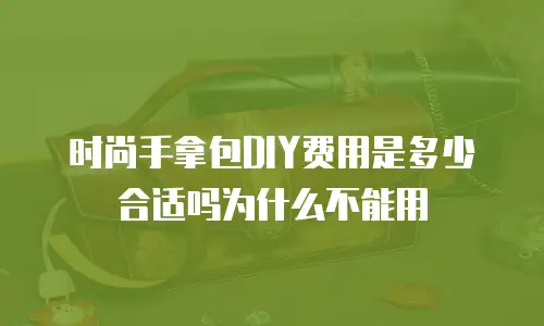 时尚手拿包DIY费用是多少合适吗为什么不能用