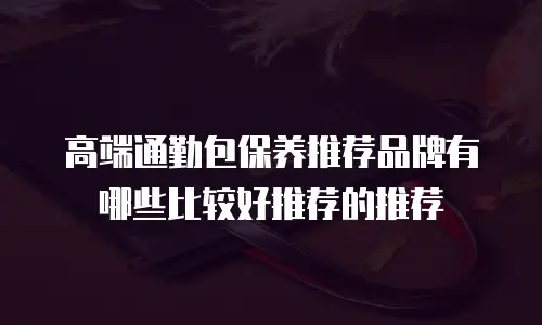 高端通勤包保养推荐品牌有哪些比较好推荐的推荐