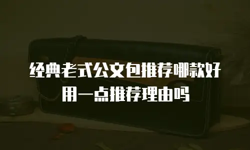 经典老式公文包推荐哪款好用一点推荐理由吗