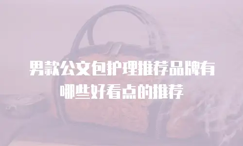 男款公文包护理推荐品牌有哪些好看点的推荐
