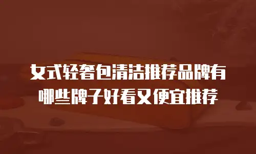 女式轻奢包清洁推荐品牌有哪些牌子好看又便宜推荐