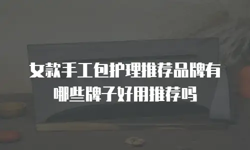 女款手工包护理推荐品牌有哪些牌子好用推荐吗