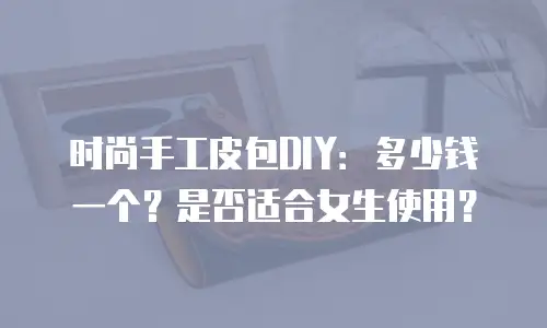 时尚手工皮包DIY：多少钱一个？是否适合女生使用？