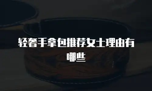 轻奢手拿包推荐女士理由有哪些