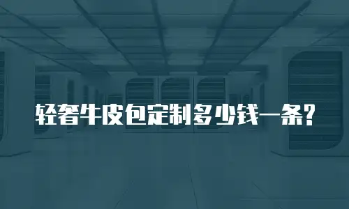 轻奢牛皮包定制多少钱一条?