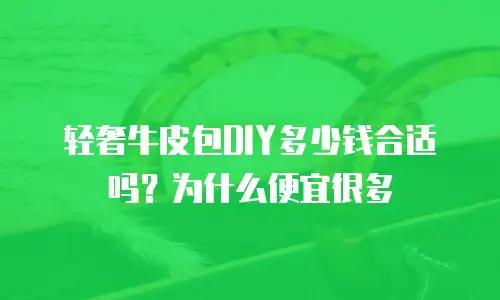 轻奢牛皮包DIY多少钱合适吗？为什么便宜很多