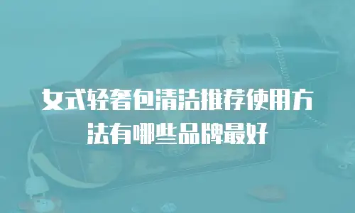 女式轻奢包清洁推荐使用方法有哪些品牌最好