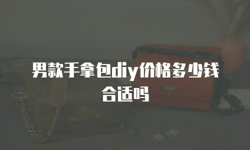 男款手拿包diy价格多少钱合适吗