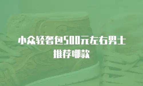 小众轻奢包500元左右男士推荐哪款