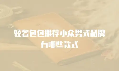 轻奢包包推荐小众男式品牌有哪些款式