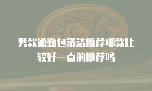男款通勤包清洁推荐哪款比较好一点的推荐吗