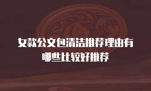 女款公文包清洁推荐理由有哪些比较好推荐