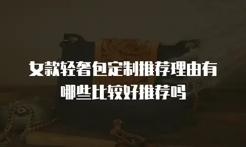 女款轻奢包定制推荐理由有哪些比较好推荐吗