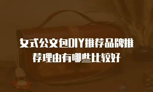女式公文包DIY推荐品牌推荐理由有哪些比较好