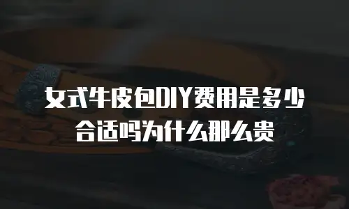 女式牛皮包DIY费用是多少合适吗为什么那么贵